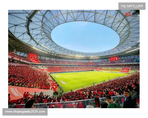 成都蓉城球迷会万人齐聚星空助威创中超单场助威TIFO新纪录